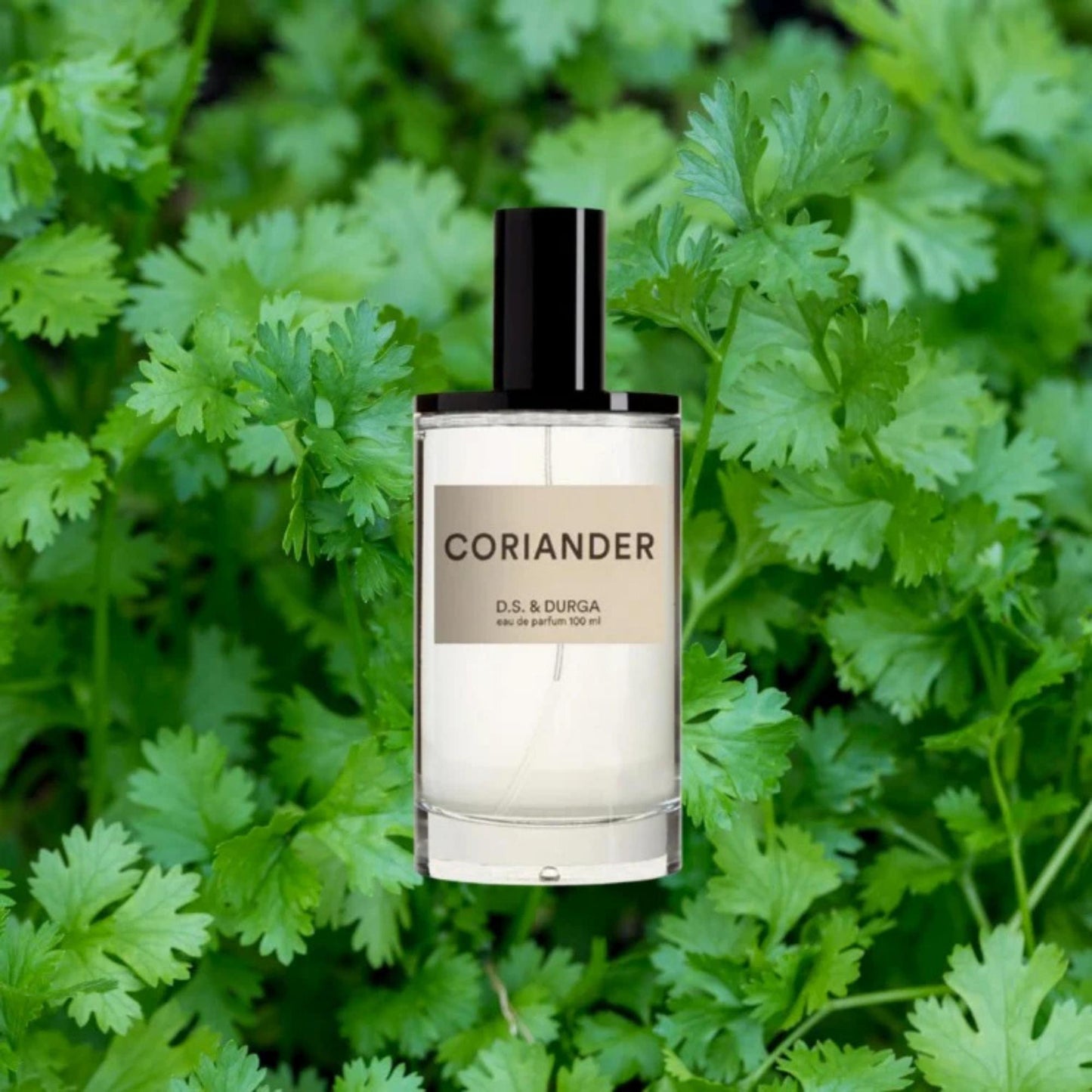 D.S. & Durga Coriander Eau De Parfum