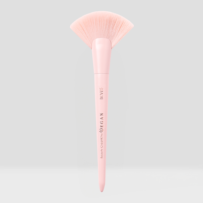 Vegan Brushes