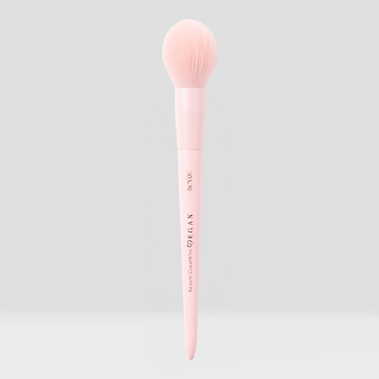 Vegan Brushes