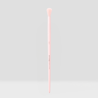 Vegan Brushes