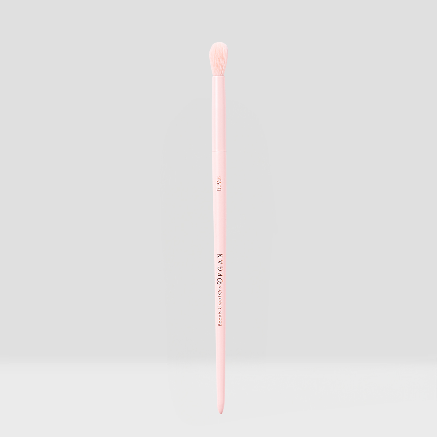 Vegan Brushes
