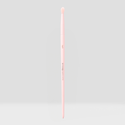 Vegan Brushes