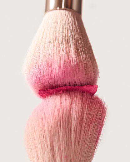 Blush Hush Powder Blush PR Set