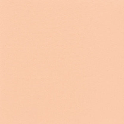 Gavissi Beauty - "DIVINE" MATTE EYESHADOW