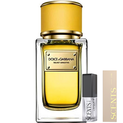 Dolce & Gabbana Velvet Ginestra for women