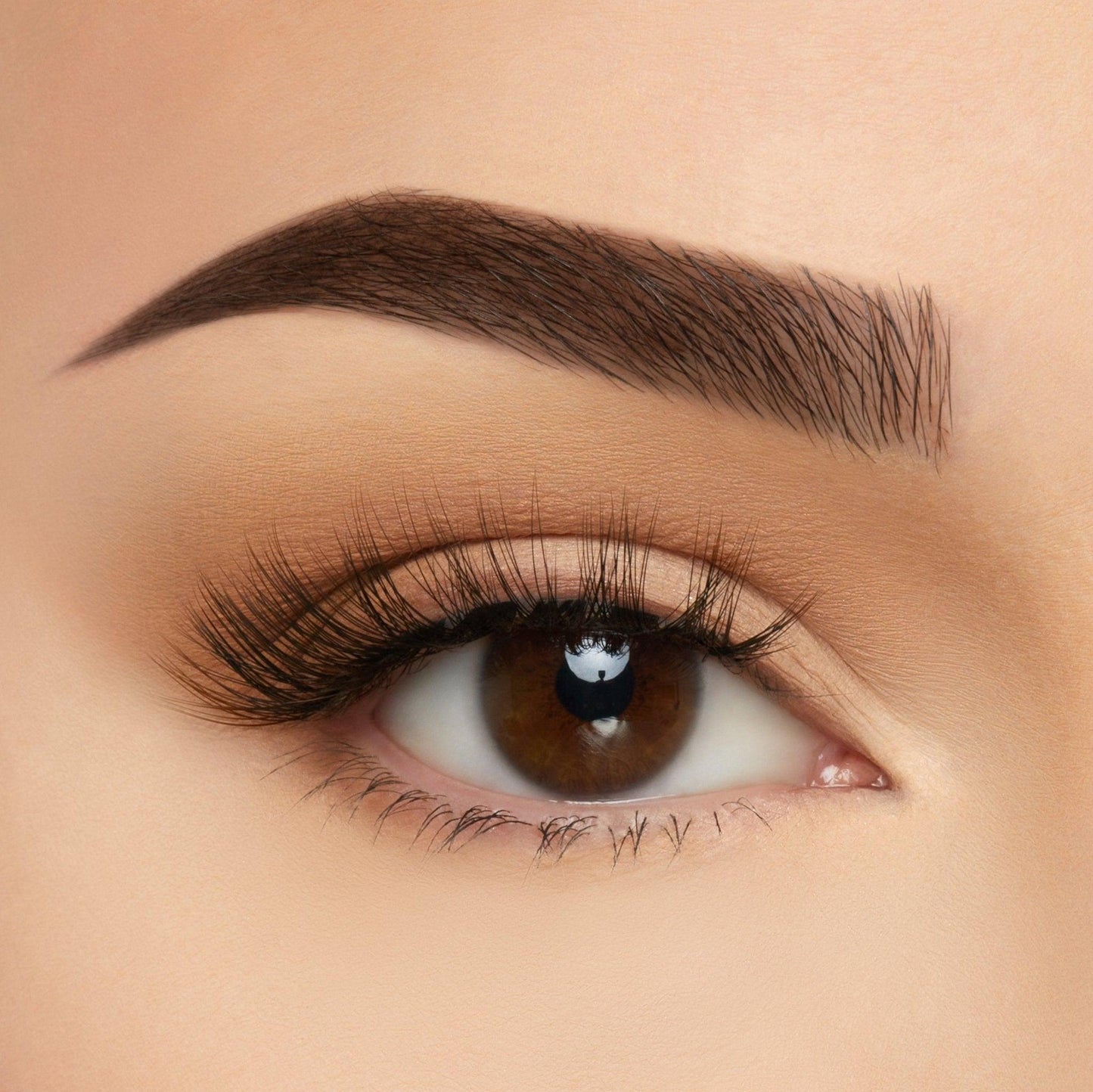 Take Me Somewhere Silk Lashes
