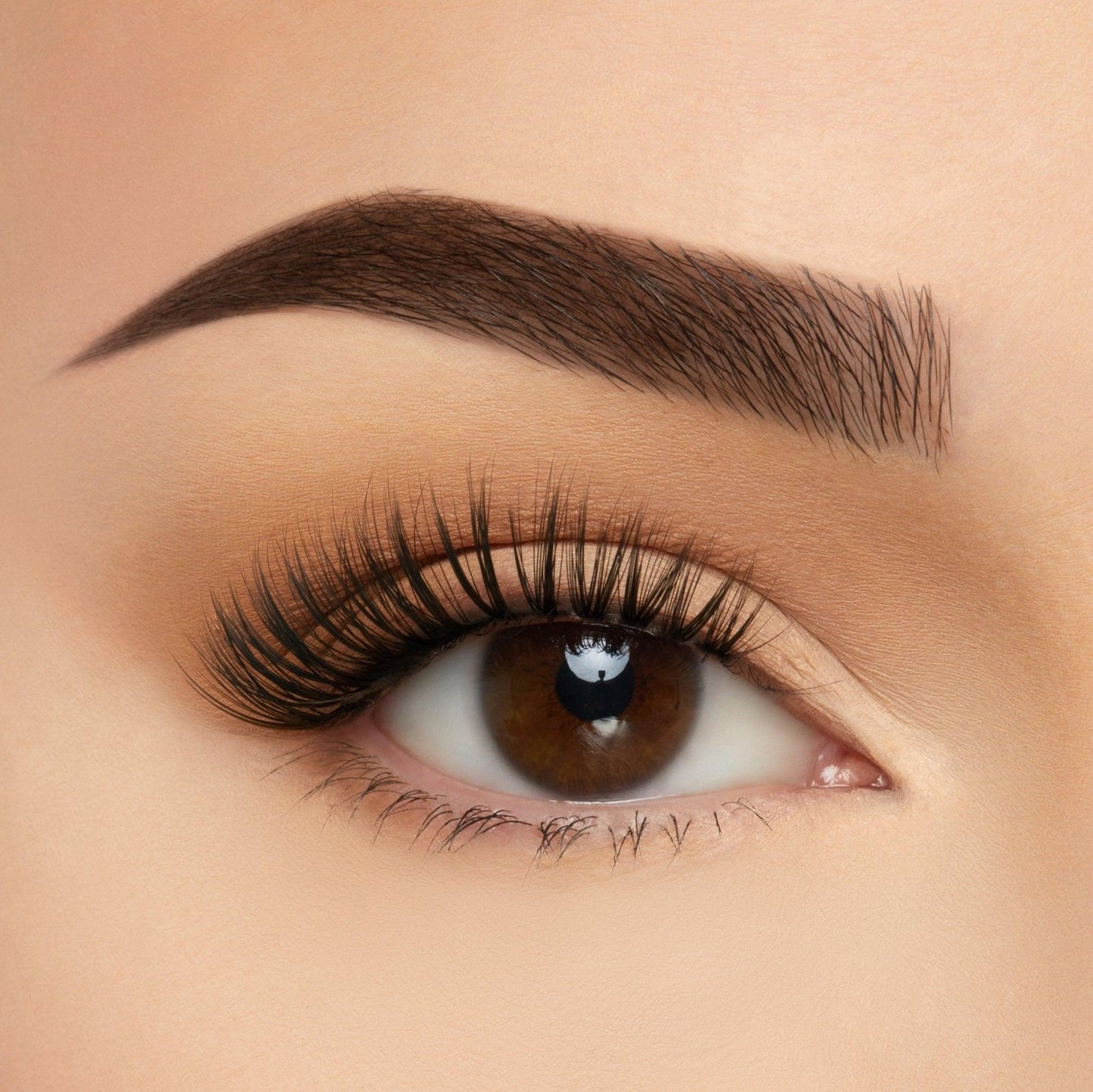 Take Me Somewhere Silk Lashes