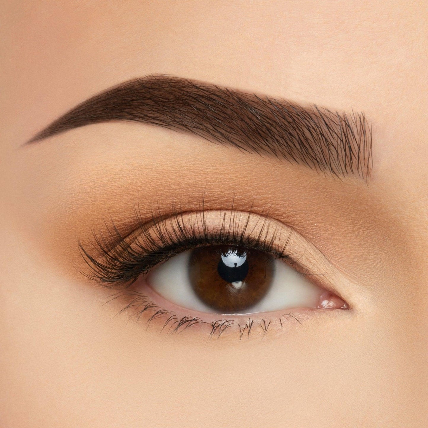Take Me Somewhere Silk Lashes
