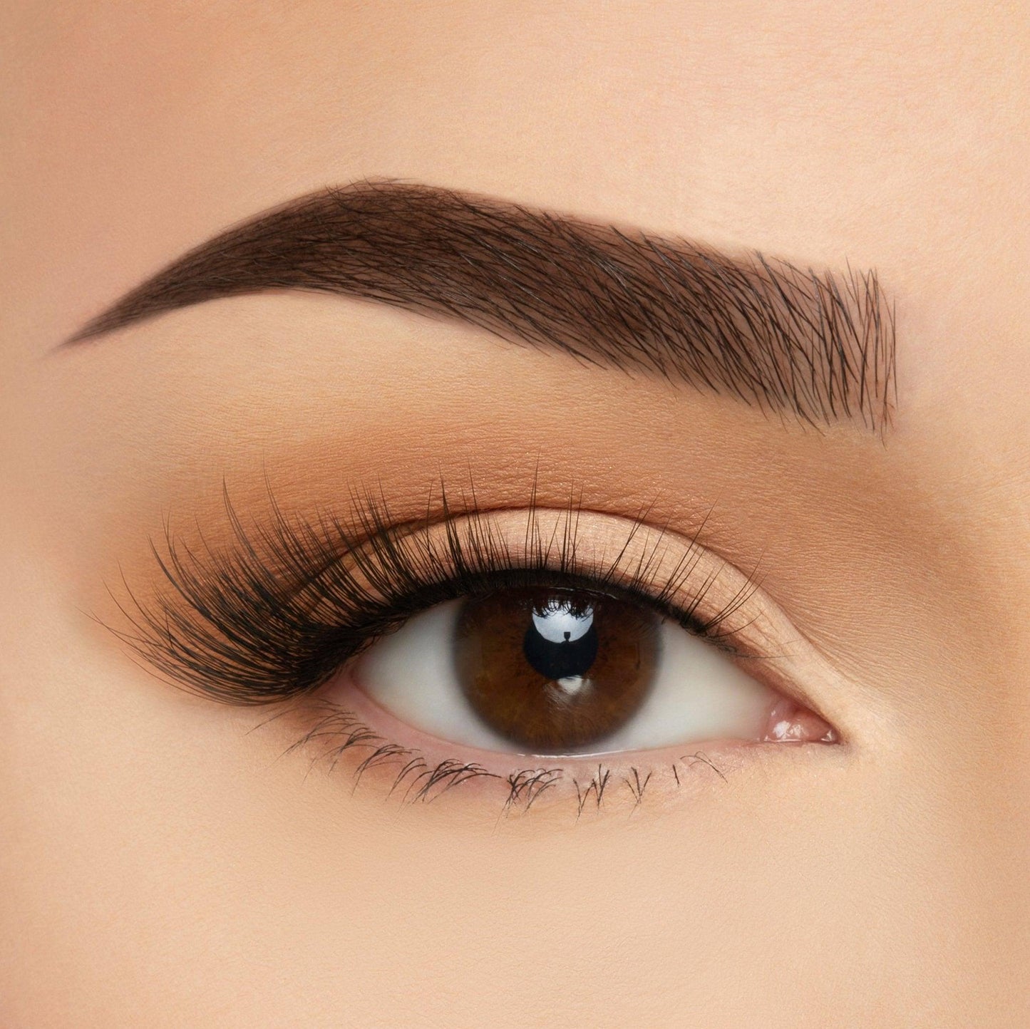 Take Me Somewhere Silk Lashes